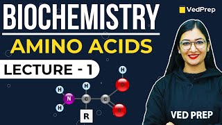 Amino Acids and Proteins Classification Biochemistry  Lecture1 Classification of Protein  Vedprep [upl. by Saidel843]