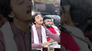 ના હોકે ભી કરીબ તુ  Live  Dayro  Rang Kasumbal Dayro [upl. by Enaoj875]