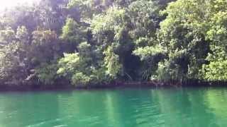 Crocodile hunting in Marovo Lagoon Solomon Islands [upl. by Aicnom891]