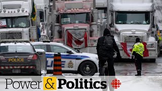 Court grants 60day extension to injunction against honking in Ottawa [upl. by Lehplar]