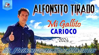 Alfonsito Tirado  Mi Gallito Carioco  Primicia 2024 [upl. by Arada947]