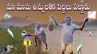 Trapping Birds The Ultimate Guide  మా మామ ఉచ్చులతో పిట్టలు పట్టాడు [upl. by Khalid]