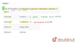 Site of formation of ribosomal precursorribosomal subunits in cell is [upl. by Bradway]