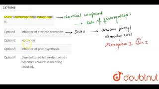 DCPIP dichlorophenol indophenol  is [upl. by Attezi]