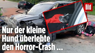 Zwei Tote nach GeisterfahrerCrash auf A24 Kindersitze liegen auf der Straße [upl. by Bibbie698]