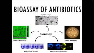 Microbiological Assay of Antibiotics  Principle and method of different bioassay of antibiotics [upl. by Atilek296]