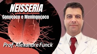 NEISSERIA GONOCOCO E MENINGOCOCO  PROF ALEXANDRE FUNCK [upl. by Lewert803]