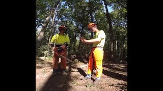 ECHO CHAIN SAW CHAPS PUT TO THE TEST WILL THEY ACTUALLY WORK  SURPRISING RESULTS [upl. by Obediah]