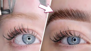 Microblading Eyebrows Step By Step  Brow Transformations [upl. by Ardme]