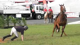 Cairns Show High Jump 2013 [upl. by Skiba]