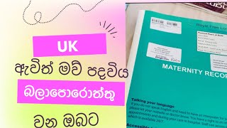 1st midwife appointment  Pregnancy tips  UK  මිඩ්වයිෆ් හම්බ උන මුල්ම දවසෙ කියපු දේ [upl. by Namlas668]