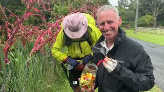 Te Araroa Day 49 Taumarunui to Camp 11014 42 Traverse [upl. by Oswell]