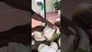 Easy skill peeling off subscribe fruit coconut coconutfruit streetfruits [upl. by Lleinnad]