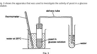 Integrated Science Test for WASSCE AND NOVDEC Candidates [upl. by Dowd645]