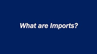 Meaning of Import amp Export  आयात और निर्यात क्या होता है  What is Import  What is Export [upl. by Small446]