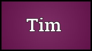 Tim Meaning [upl. by Hueston]