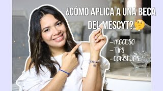 BECA INTERNACIONAL DEL MESCYT  Proceso Tips Consejos etc [upl. by Meelak]