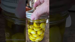 Garlic Infused Olive Oil refrigerate and use within two weeks [upl. by Denis]