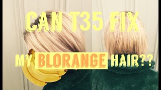 CAN WELLA T35 TONER MAKE MY YELLOWORANGE HAIR BLONDE [upl. by Eanil812]