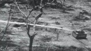 US Marines Intense Combat Footage Battle of Peleliu and Ngesebus Island WW2 w Sound [upl. by Aney955]