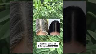 Original Indigo plant  Natural Hair Dye organichairgrowthoil garden minivlog herbalhairoil [upl. by Buckels375]