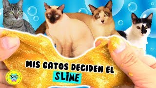 Haciendo SLIME por primera vez PRUEBO RECETAS de mis seguidores con mis GATOS los Diverticats 🐈 [upl. by Ronny]