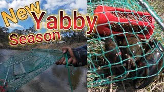 Hectic Yabby Caught in the First Yabby Session for 2024 yabbying outdoors [upl. by Bristow]