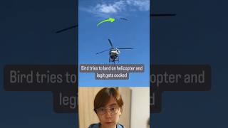 Helicopter Downwash Explained youtubecreatorcommunity [upl. by Nwonknu]