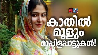 Mappila Cover Songs  Mappila Pattukal Cover songs Mappilapattukal Mappila Pattukal Malayalam [upl. by Greeson]