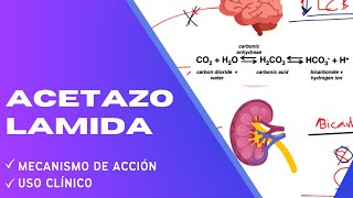 FÁCIL Acetazolamida  Mecanismo de acción [upl. by Oznola915]