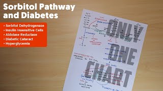 Sorbitol Pathway and Diabetic Cataract  2  Biochemistry [upl. by Linder]