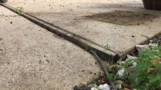 Sidewalk Raising in Sayerville NJ [upl. by Cychosz]