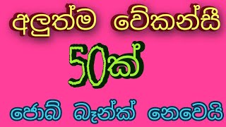 job vacancy 2024job vacancies Job guide sri lankajob interview jobs at homegoverment jobs sinhala [upl. by Negiam]