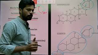 Digoxin Mechanism I Cardiac glycoside I MHSRB Pharmacist I Telangana Pharmacist I [upl. by Akimert]