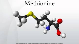 Methionine [upl. by Hirsch]