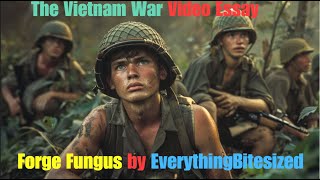 The War in Vietnam  Video Essay [upl. by Tigdirb385]