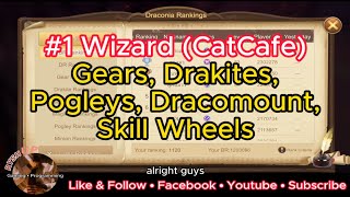 Draconia Saga 1 Strongest Wizard Build Gears Drakites Pogleys Vein Formation Skill Wheel [upl. by Moreland]