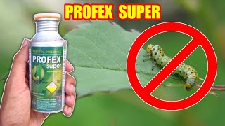 Profex Super Mixed Insecticide  How To Control Caterpillars On Lemon Plant  Citrus Fruit Plants [upl. by Anilag]