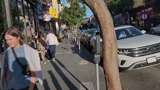 Haight Street HaightAshbury area in San Francisco CA  Oct 2024 [upl. by Ynnelg]