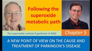 Chapter5 Superoxide formation and metabolic outcomes leading to selective mitophagy [upl. by Jada]