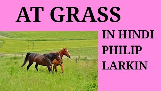 AT GRASS BY PHILIP LARKIN IN HINDI MEG01 BRITISH POETRY [upl. by Arnst]