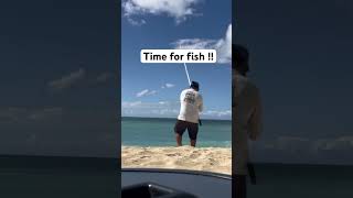 Time to go fish fishing fish hawaii [upl. by Buckler]