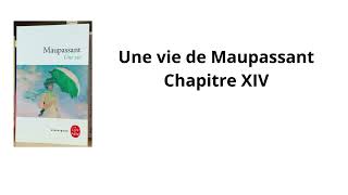 14 Une vie de Maupassant Chapitre 14 Livre audio [upl. by Liatnahs]