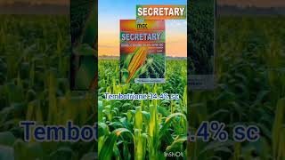 Mac Secretary farming maize Herbicide Tembotrione 344 SC [upl. by Annoiek377]