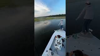 Floodtide Redfish St Augustine Florida HistoricCoastOutfitters RedfishOnFly [upl. by Ozmo31]