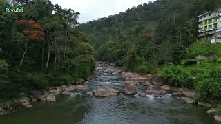 Rivulet resort Munnar [upl. by Annodam395]