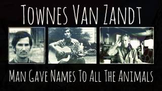 Townes Van Zandt  Man Gave Names To All The Animals [upl. by Eesdnyl909]