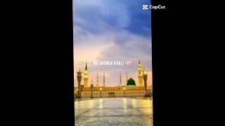 Bhar Do Jholi Meri Ya Muhammad Naat [upl. by Nirrad39]