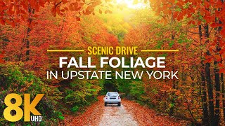 Fall Foliage in Upstate New York  Colorful Autumn Vibes in 8K Scenic Drive Video [upl. by Christean]