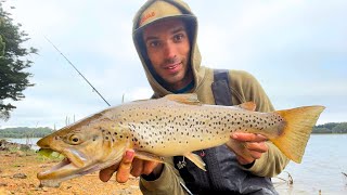 Trout and Redfin Fishing with lures Melbourne Australia [upl. by Esilehs939]